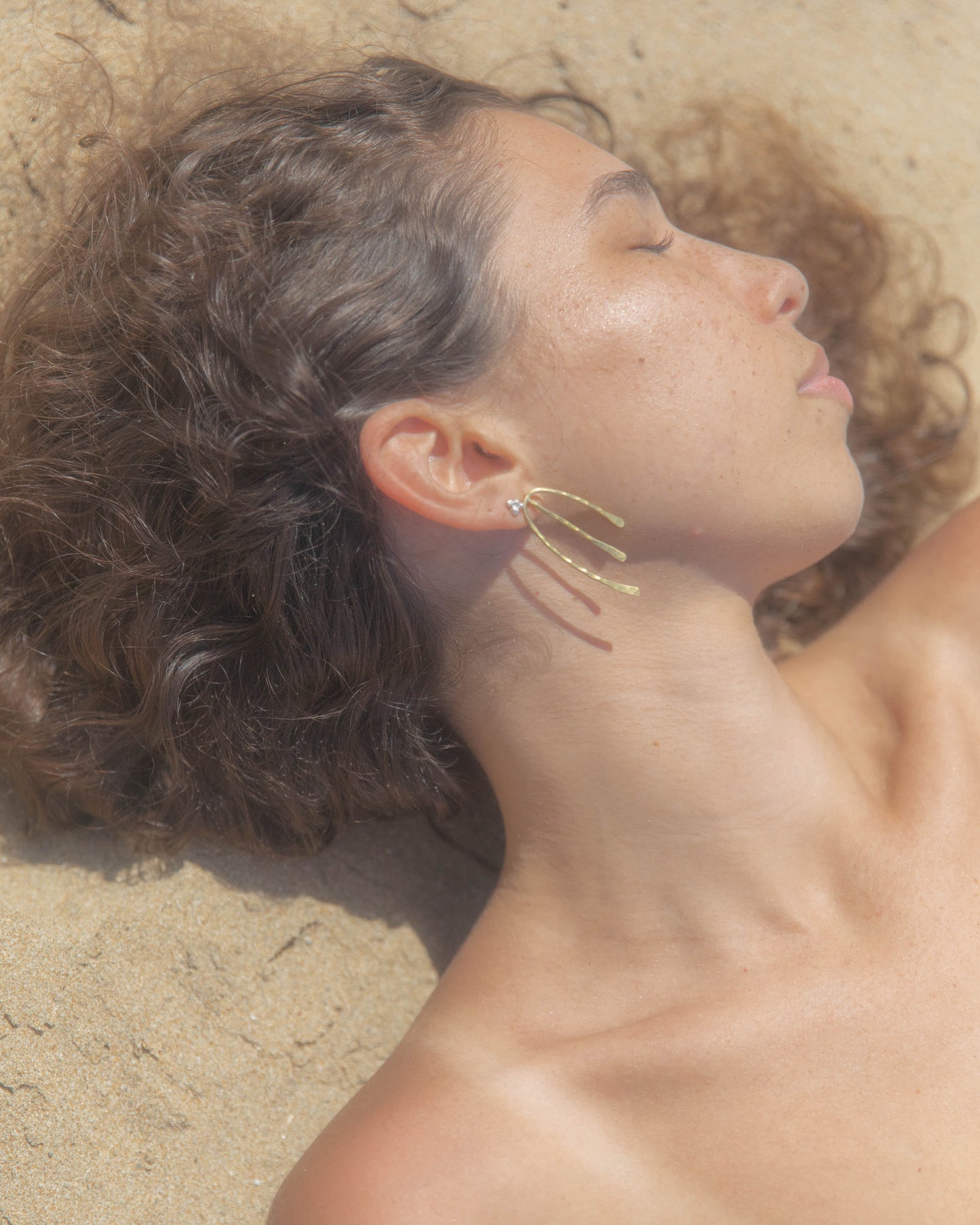 ARENA STUDS FINAL SALE
