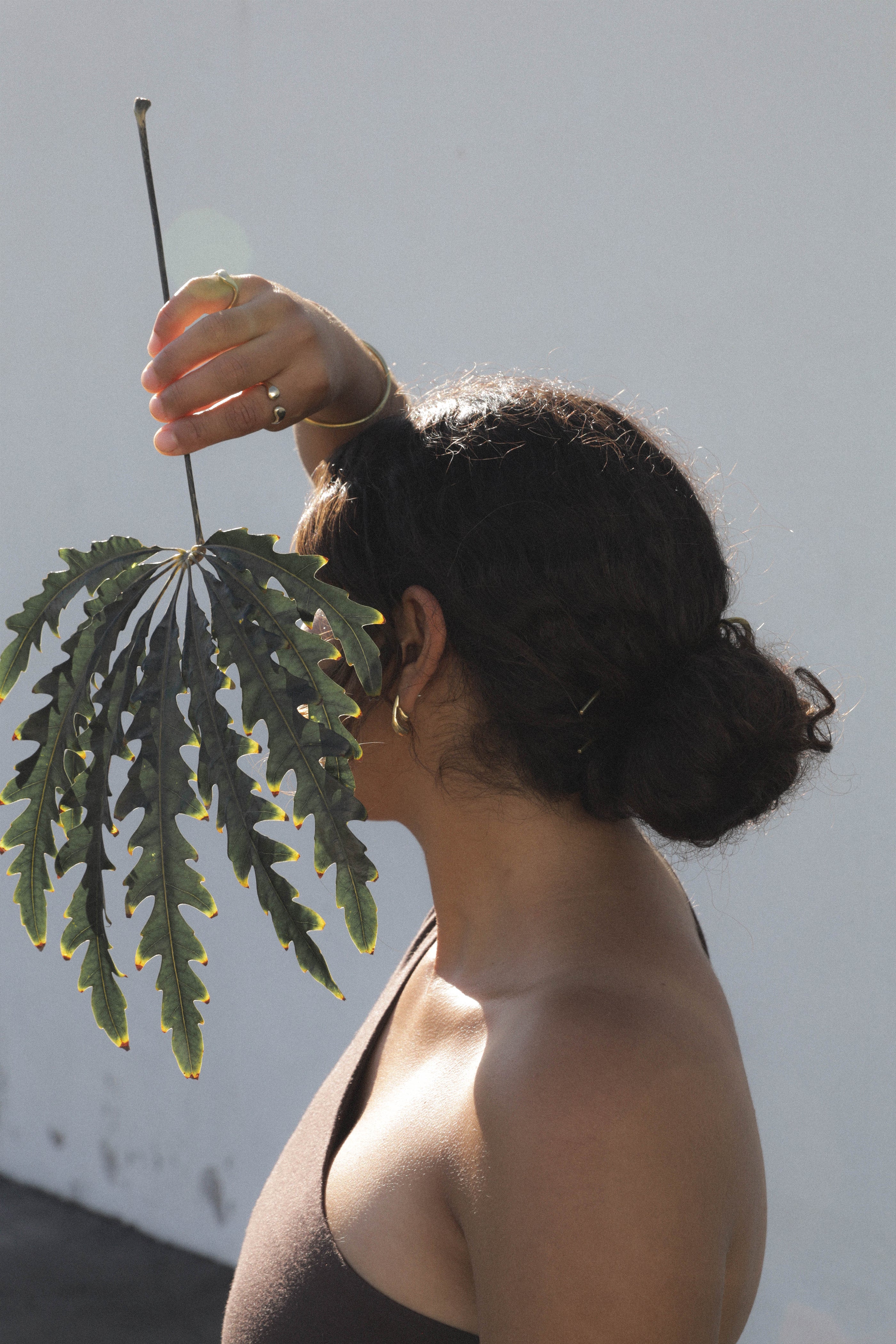DOUBLE DROPLET earrings