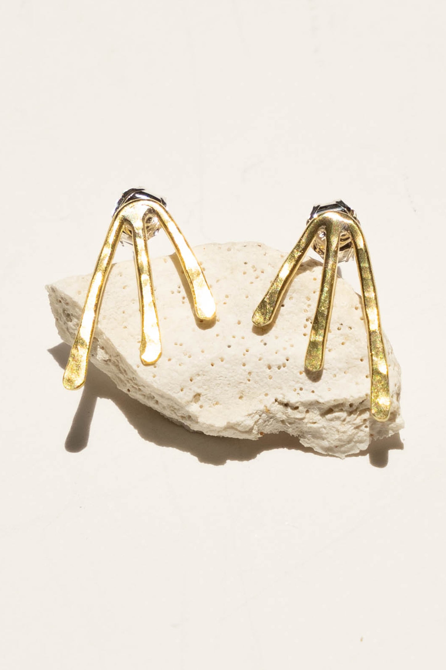 SEA FAN SMALL- FINAL SALE