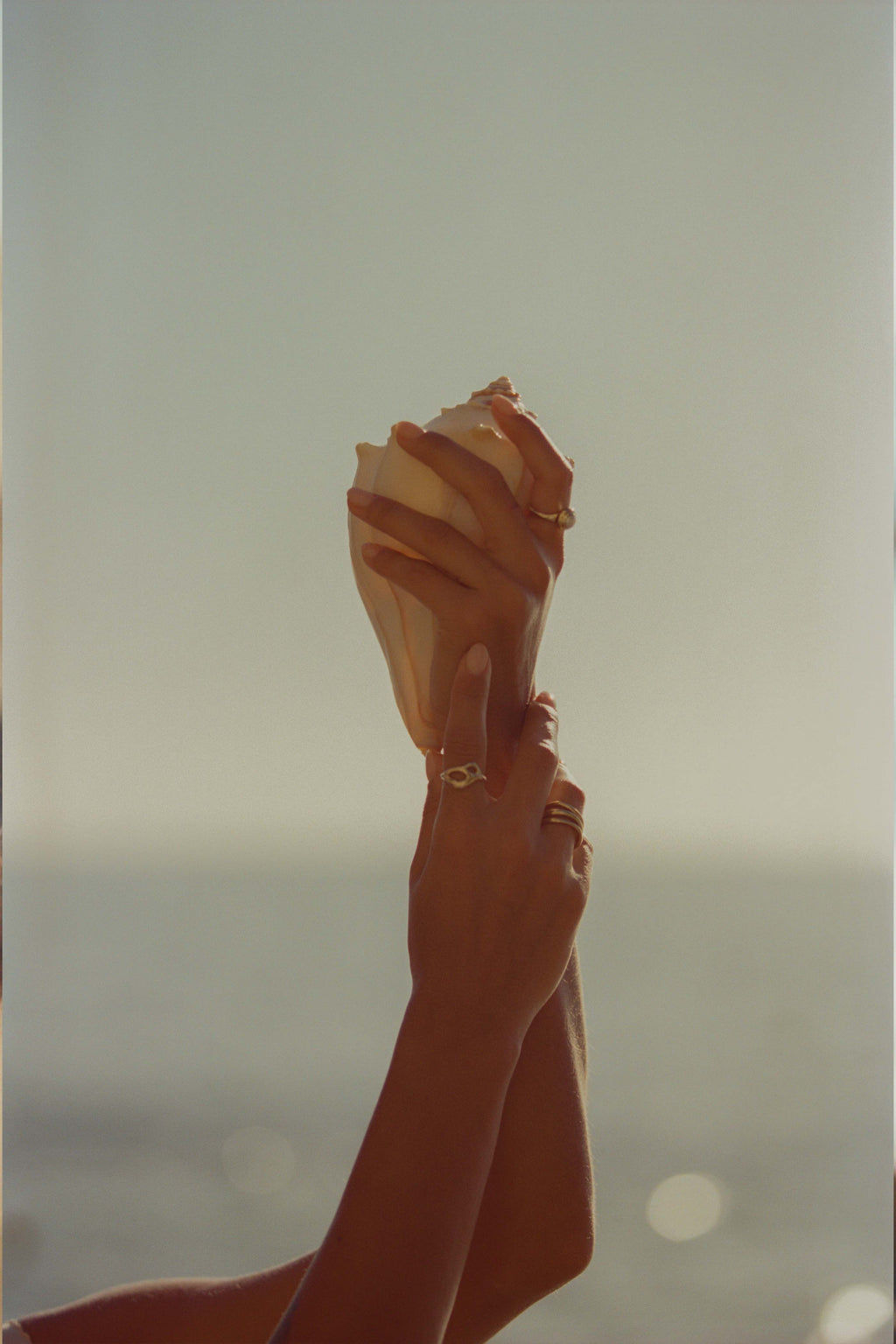 Preorder: COLUMELLA ring