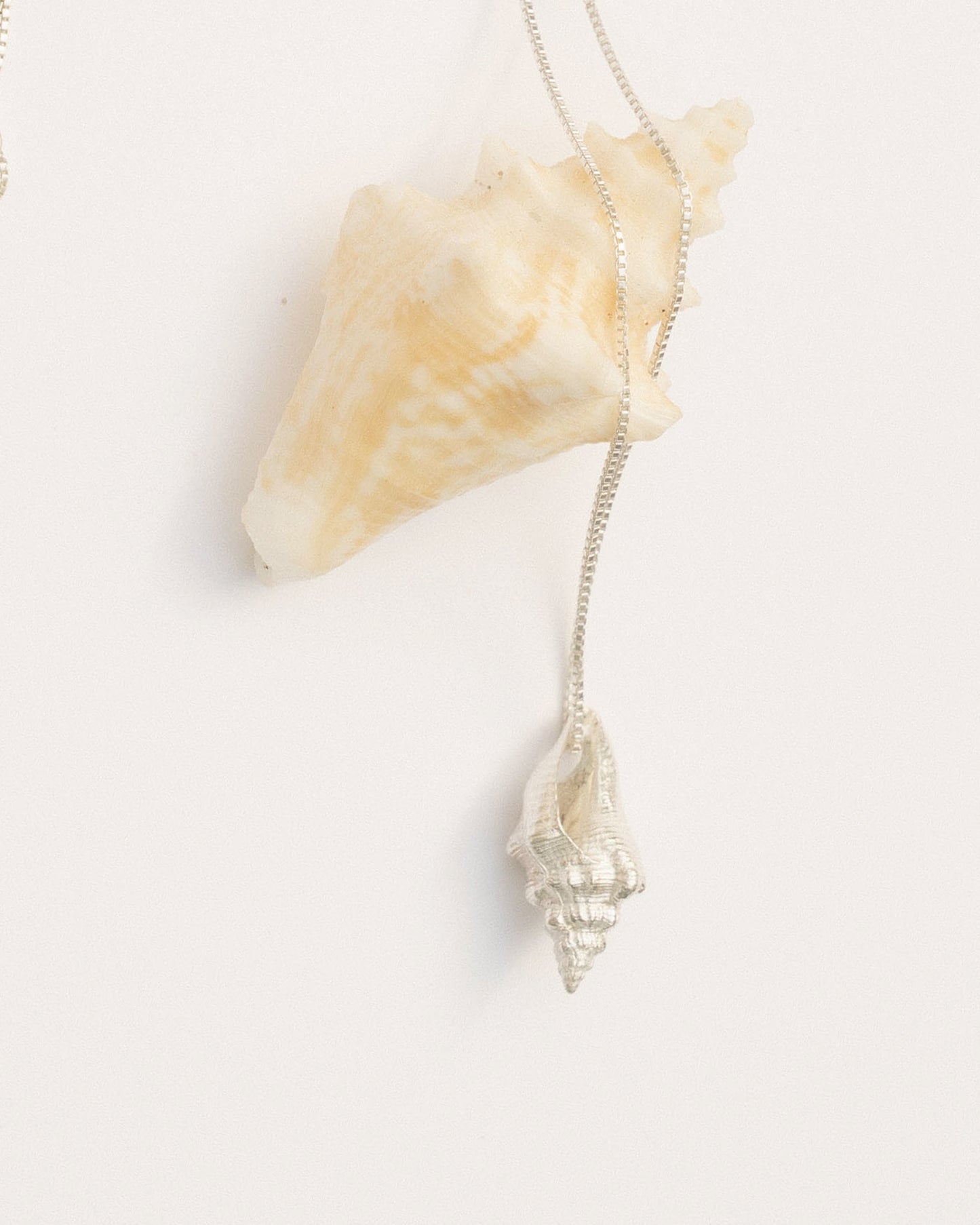 CONCH NECKLACE - FINAL SALE