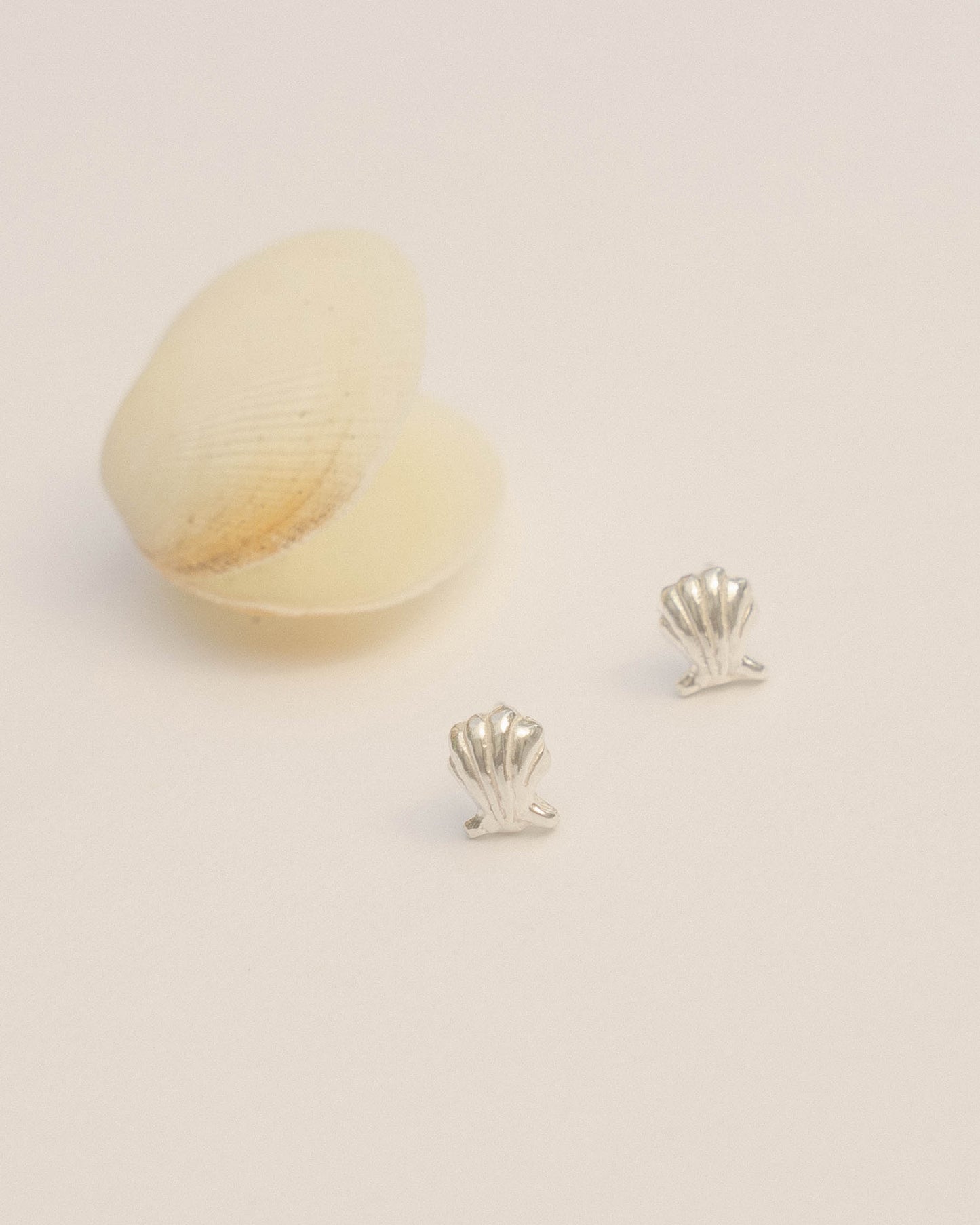 SCALLOP STUDS- FINAL SALE